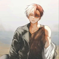 Shoto Todoroki
