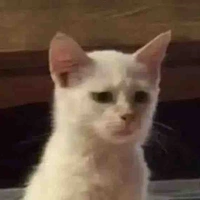 Cả đám