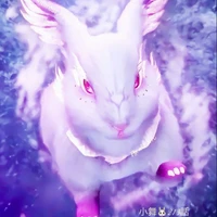 Tiểu Vũ (dạng thỏ)