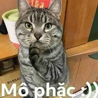 tác giả hong biết gì hết