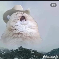 Con TÁC GIẢ