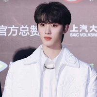 Đinh Trình Hâm - anh