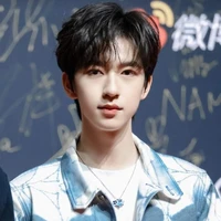 Hạ Tuấn Lâm - anh