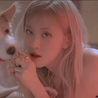 Park Chaeyoung [ Rosé ]