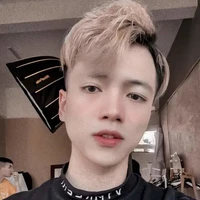 Mr vịt