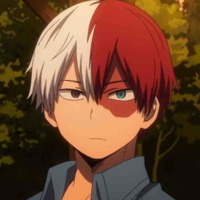 Shoto todoroki 