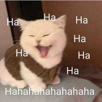 Đt của thầy Ht