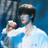 Đinh Trình Hâm ( cậu )