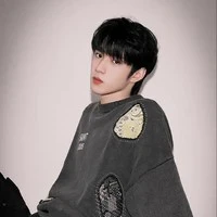 (Mã)Lưu Diệu văn -anh
