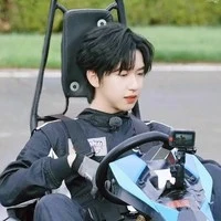 (Mã )Hạ Tuấn lâm-anh