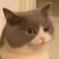 Tác giả thích viết truyện ngược