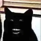 tác giả khoái coi haru bị dduj =)