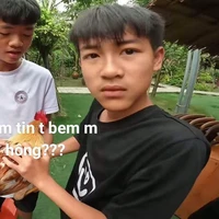 anh Trung Thật đz nhất thế giớii