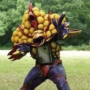 pyodor