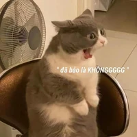 t/g cuti số mụt:3