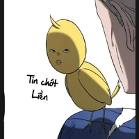 Con Lười Tác Giả