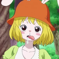 Carrot