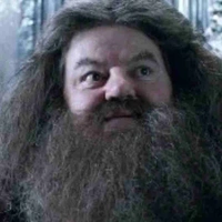 Rubeus Hagrid