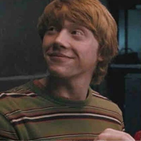 Ronald Weasleys