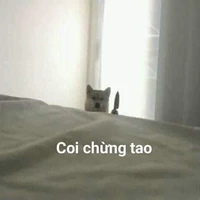 Nhân vật chè thập cẩm:)