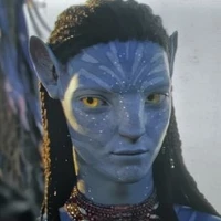 Neteyam sully