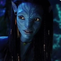 Netryri sully