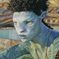 Rotxo