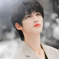 Đinh Trình Hâm(bạn anh/cậu)