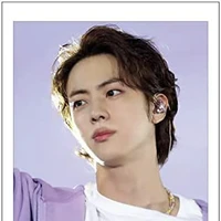 Kim Seokjin/Pa anh