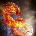 Rồng Lửa ( tiểu rồng )
