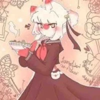 Nekomi Japan