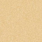 Nhân vật bí ẩn