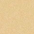 Nhân vật bí ẩn