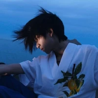 Nghiễm Họa Hiên | Song Tử