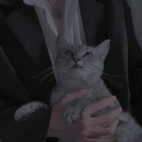 Tống Văn - ba nữ9