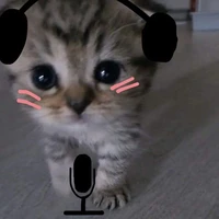 Đỉ T/g cuti