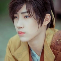Vô Song_Tiểu Thành Chủ Vô Song