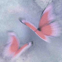 Nhân vật phụ 
