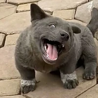 Mọi người - những ai cần trừ