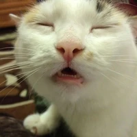 Hăi, tác giả đây:3