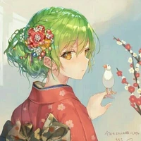 Donquixote ( D ) Hana
