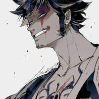 Trafalgar D. Water Law 