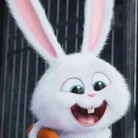 Thỏ🐰/Trangg