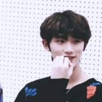 Đinh Trình Hâm