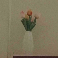 Người bí ẩn (Nam/Nữ)