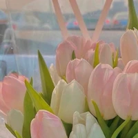 tác giả vịt la