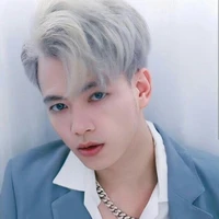 mister.vịt