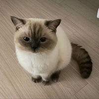 Hunji Miyano