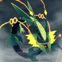 T/g Ume Rayquaza