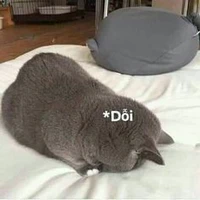 Tác giả